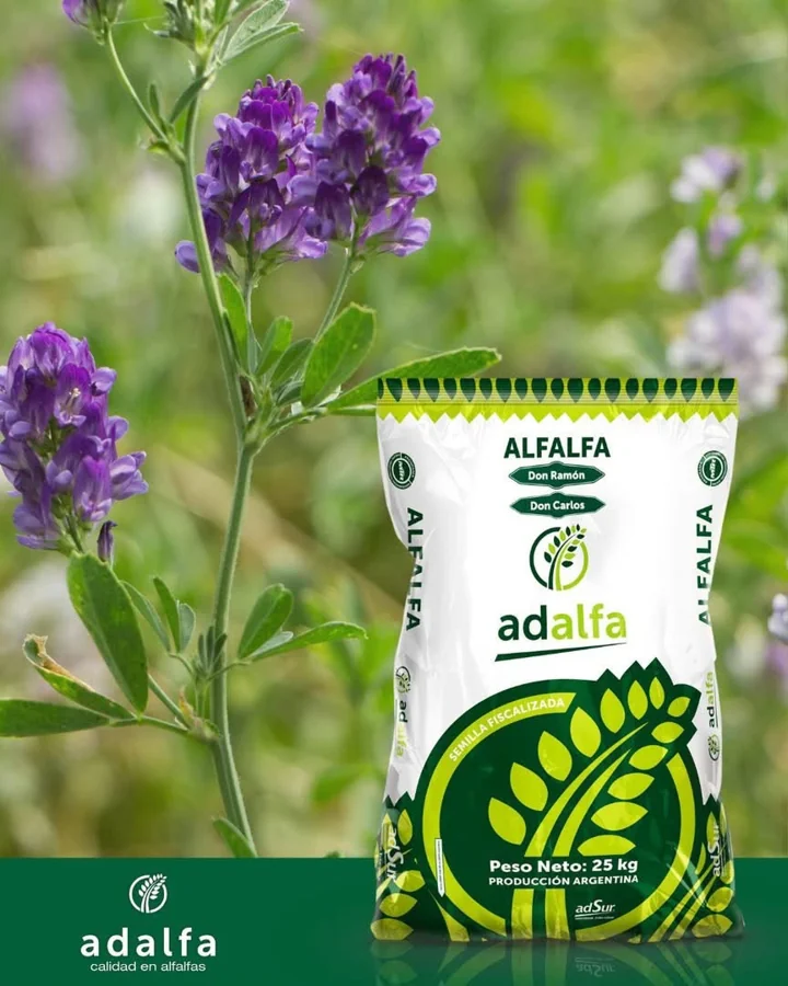 ADSUR: Alfalfa Adalfa