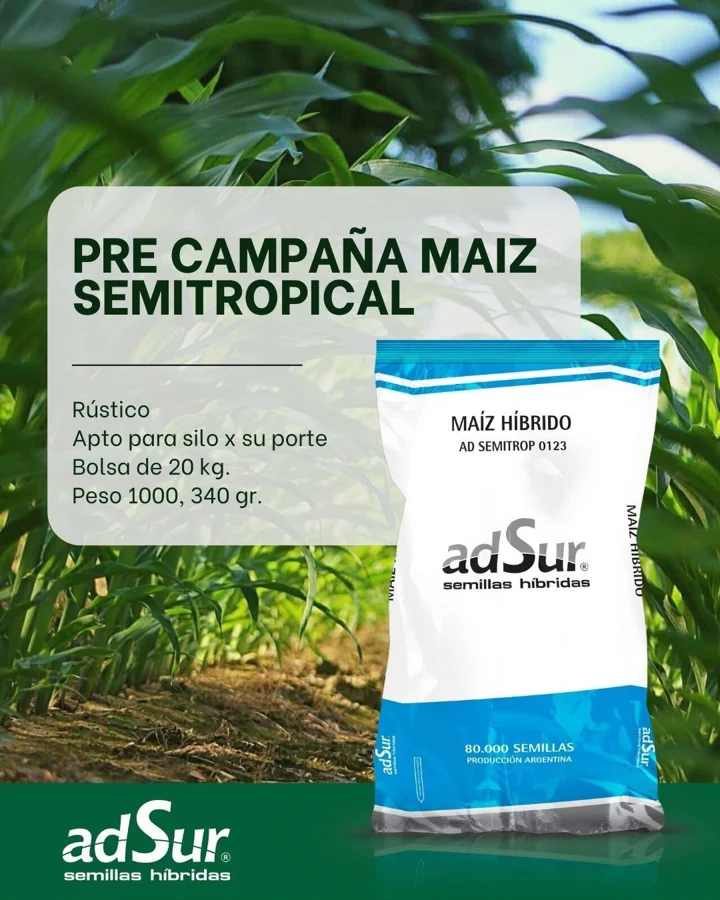 ADSUR: Precampaña de maíz semitropical
